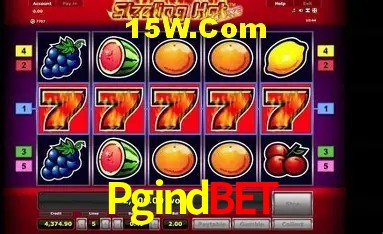 Sistemas de Segurança Pgindbet